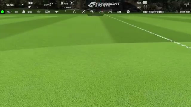 Dynamic Gold 105 Stiff 鐵桿數據 (第三桿)