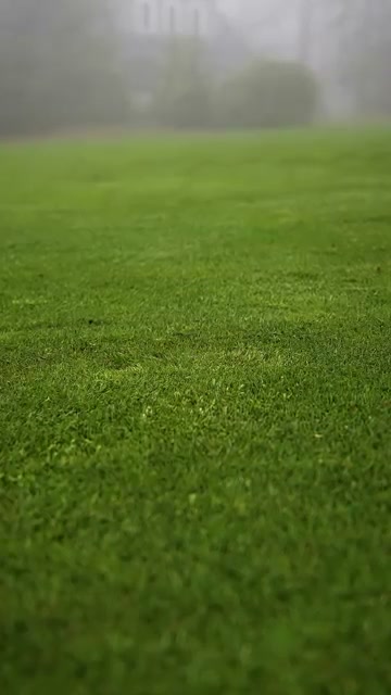 修補碎裂草皮擊痕