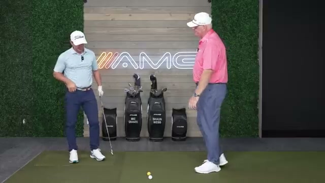 One-Handed Trail Arm Swing (訓練)